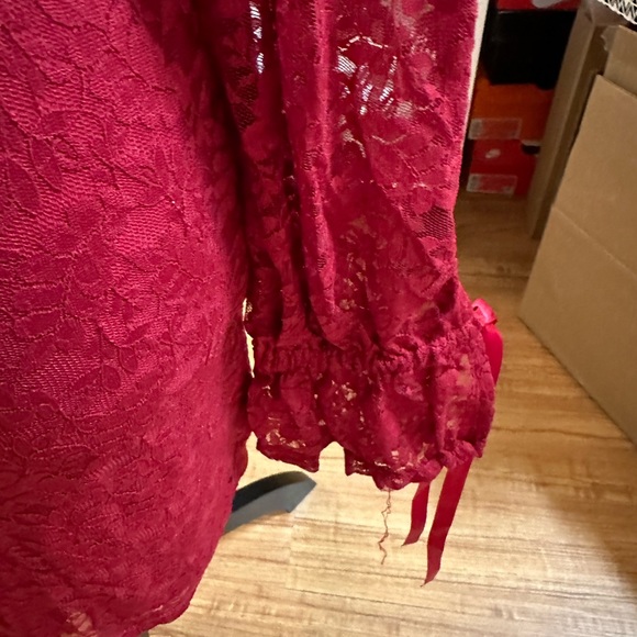 Lovers & Friends Red Lace Mini Dress - Picture 5 of 9